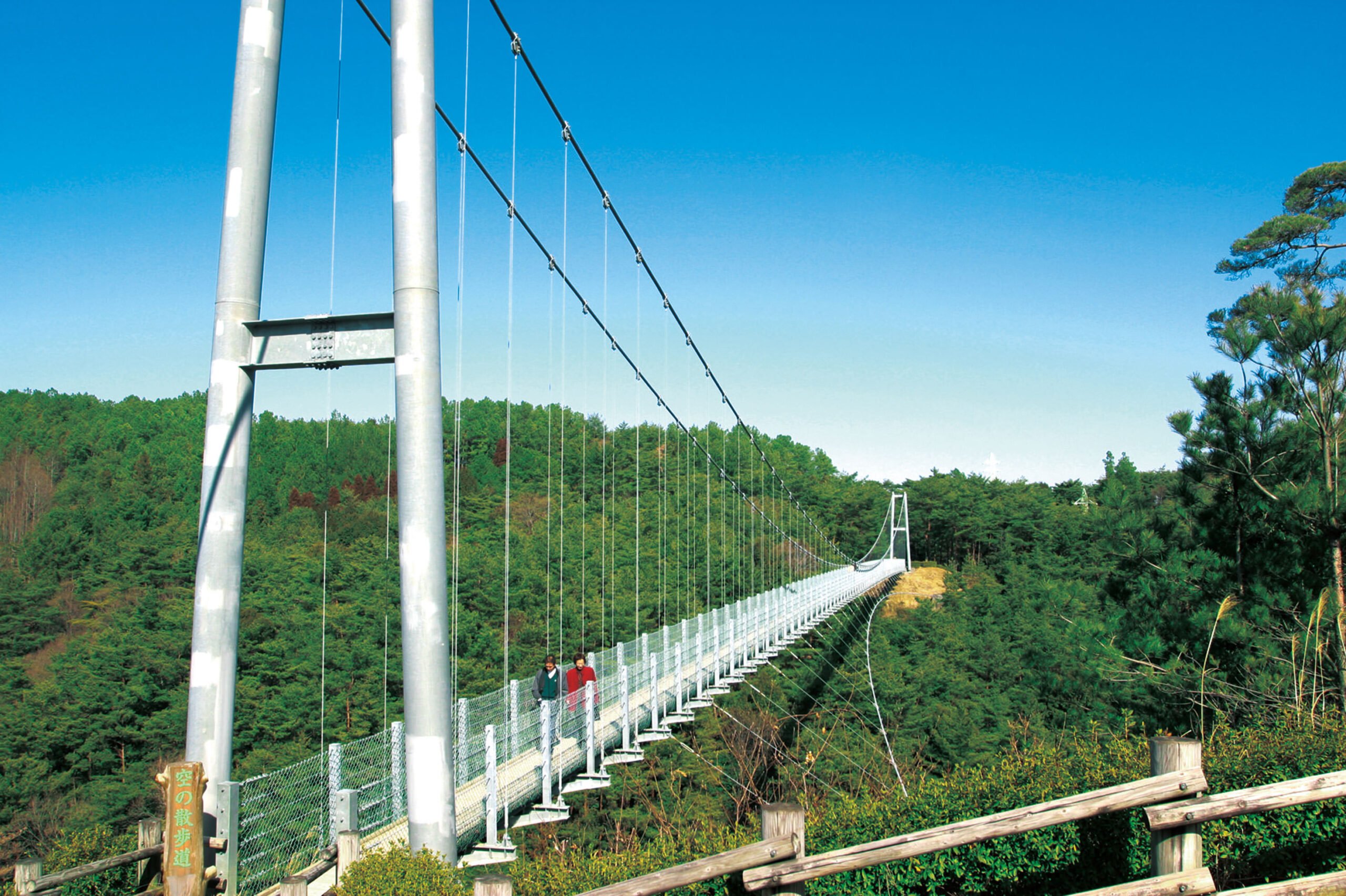 🏞️ 시즈오카 현립 삼림공원(시즈오카켄리츠신린코엔) 이미지 1